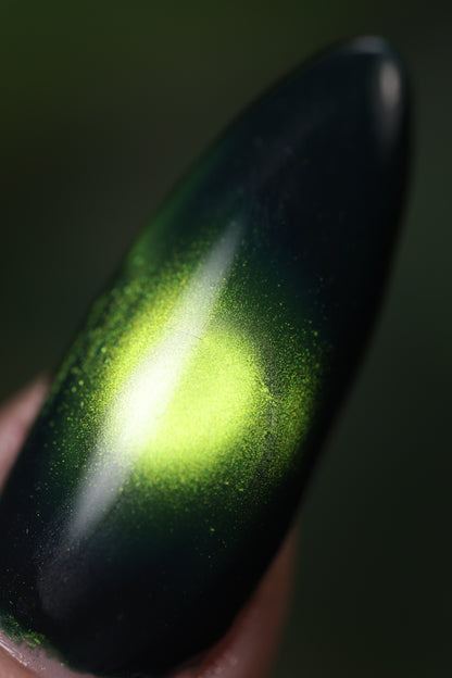 Penicillium