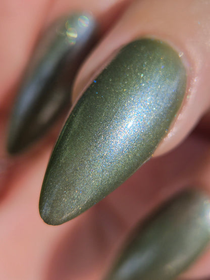 Sardine