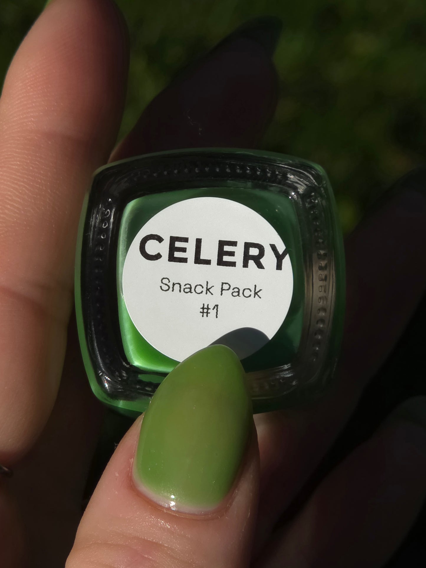 Celery