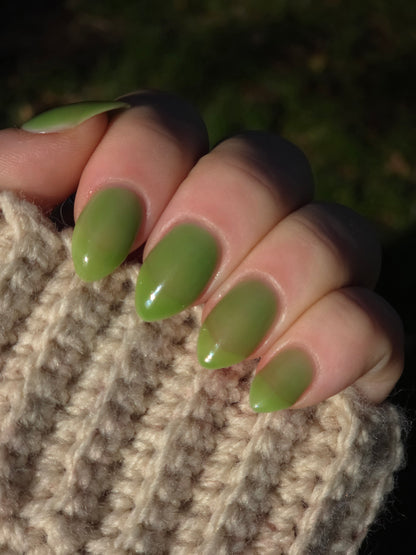 Celery