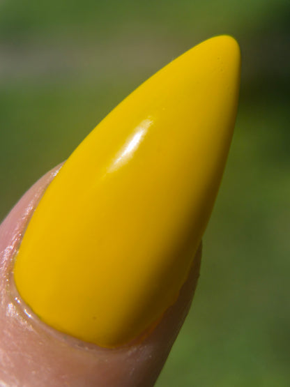 Mustard