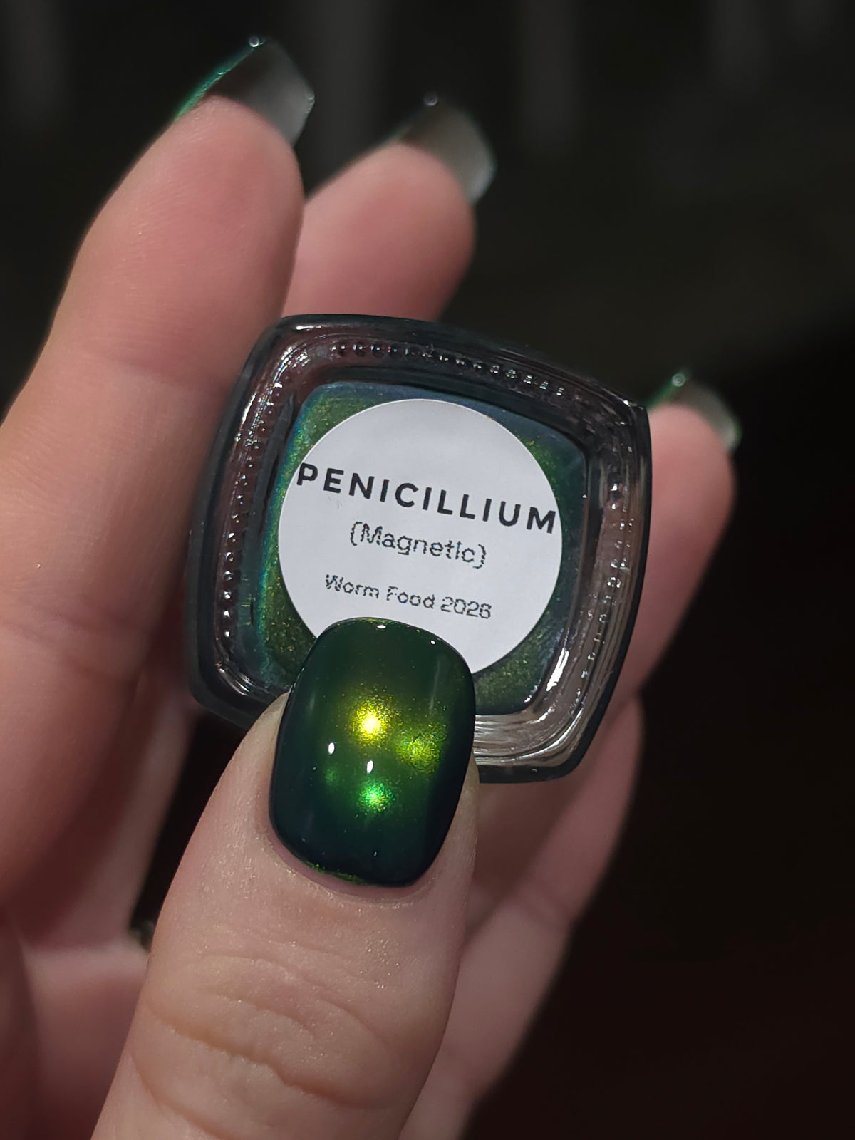 Penicillium