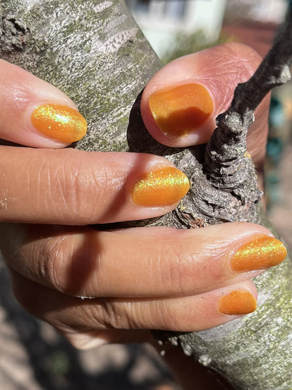 Sulfur Bloom