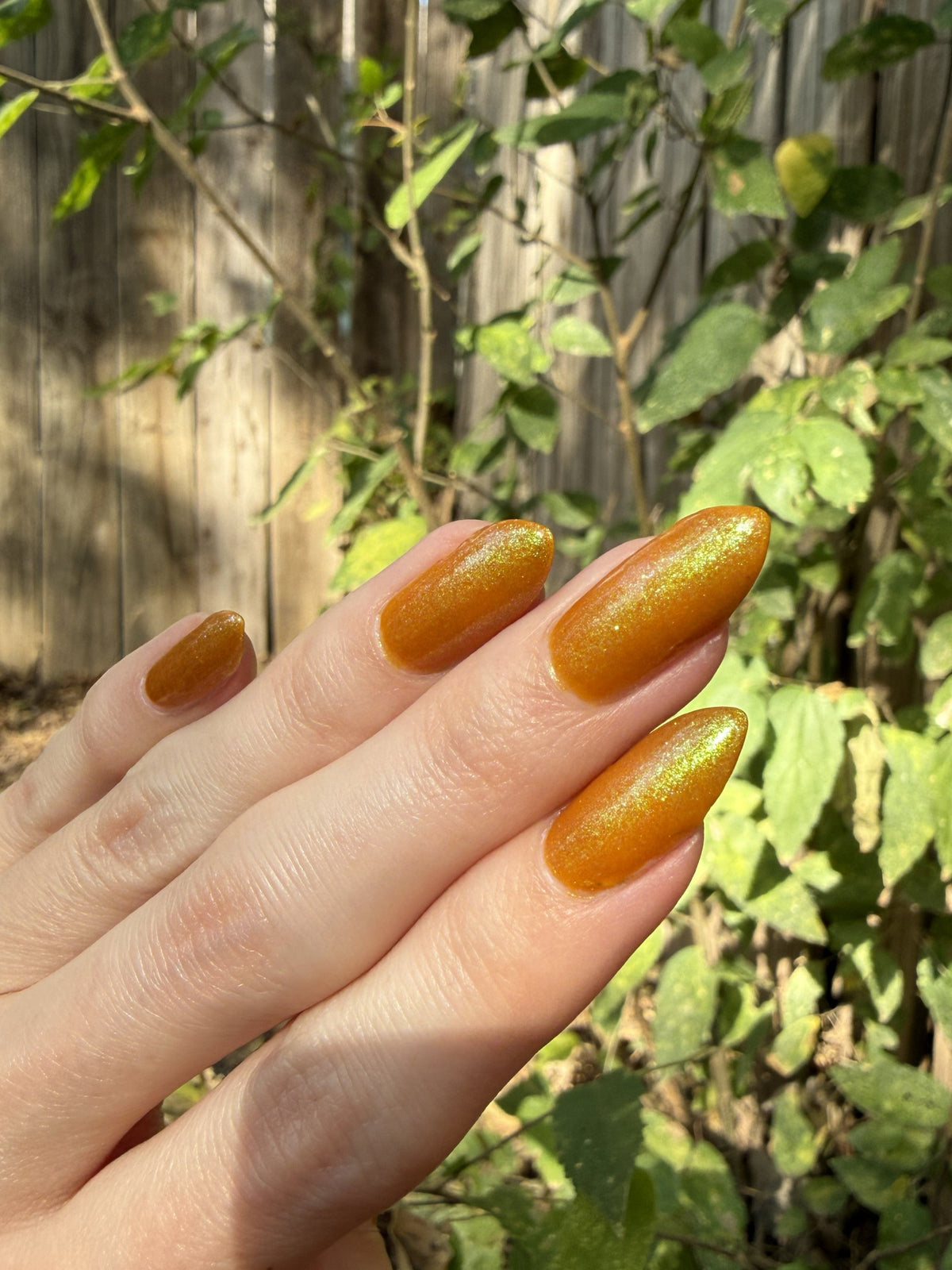 Sulfur Bloom