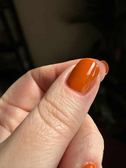 Room Temp Cheddar