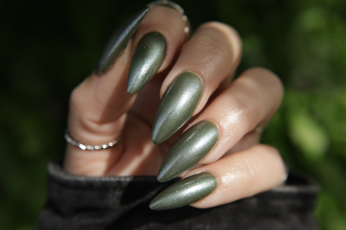 Sardine