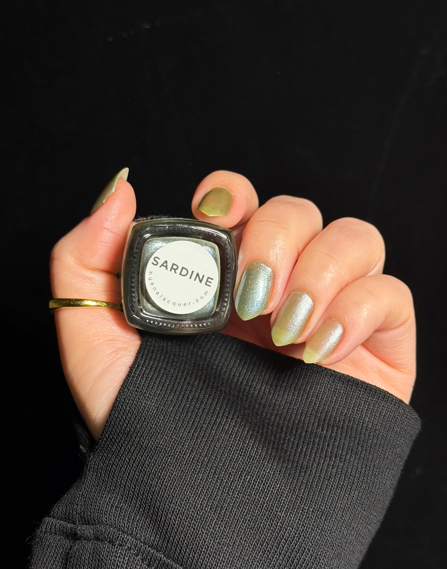 Sardine