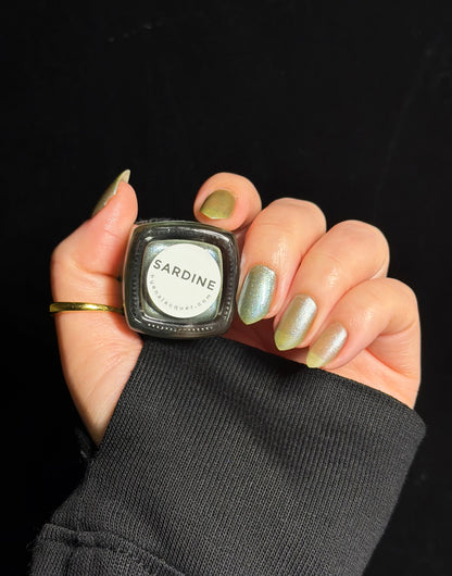 Sardine